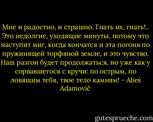 Мне и радостно, и страшно. Гнать их, гнать!.. Это недолгие, уходящие минуты, потому что наступит миг, когда кончатся и эта погоня по пружинящей торфяной земле, и это чувство. Наш разгон будет продолжаться, но уже как у сорвавшегося с кручи: по острым, по ловящим тебя, твое тело камням! - Alieś Adamovič