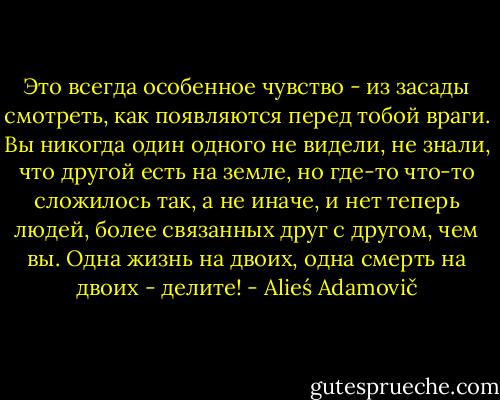Это всегда особенное чувство - из засады смотреть, как появляются перед тобой враги. Вы никогда один одного не видели, не знали, что другой есть на земле, но где-то что-то сложилось так, а не иначе, и нет теперь людей, более связанных друг с другом, чем вы. Одна жизнь на двоих, одна смерть на двоих - делите! - Alieś Adamovič