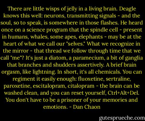 There are little wisps of jelly in a living brain. Deagle knows this well: neurons, transmitting signals - and the soul, so to speak, is somewhere in those flashes. He heard once on a science program that the spindle cell - present in humans, whales, some apes, elephants - may be at the heart of what we call our "selves."<br />What we recognize in the mirror - that thread we follow through time that we call "me"? It's just a diatom, a paramecium, a bit of ganglia that branches and shudders assertively. A brief brain orgasm, like lightning.<br />In short, it's all chemicals. You can regiment it easily enough: fluoxetine, sertraline, paroxetine, escitalopram, citalopram - the brain can be washed clean, and you can reset yourself, Ctrl+Alt+Del. You don't have to be a prisoner of your memories and emotions. - Dan Chaon
