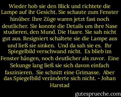 Wieder hob sie den Blick und richtete die Lampe auf ihr Gesicht. Sie schaute zum Fenster hinüber. Ihre Züge waren jetzt fast noch deutlicher. Sie konnte die Details um ihre Nase studieren, den Mund. Die Haare. Sie sah nicht gut aus. Resigniert schaltete sie die Lampe aus und ließ sie sinken.<br /><br />Und da sah sie es.<br /><br />Ihr Spiegelbild verschwand nicht.<br /><br />Es blieb im Fenster hängen, noch deutlicher als zuvor.<br /><br />Eine Sekunge lang ließ sie sich davon einfach faszinieren.<br /><br />Sie schnitt eine Grimasse.<br /><br />Aber das Spiegelbild veränderte sich nicht. - Johan Harstad