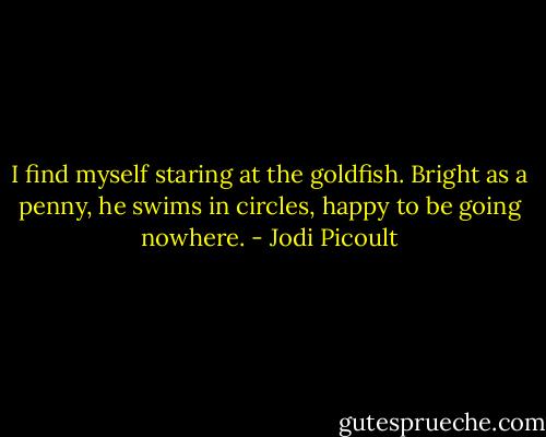 I find myself staring at the goldfish. Bright as a penny, he swims in circles, happy to be going nowhere. - Jodi Picoult