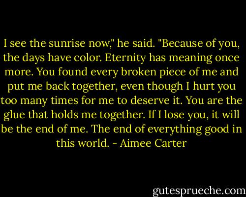 I see the sunrise now," he said. "Because of you, the days have color. Eternity has meaning once more. You found every broken piece of me and put me back together, even though I hurt you too many times for me to deserve it. You are the glue that holds me together. If I lose you, it will be the end of me. The end of everything good in this world. - Aimee Carter