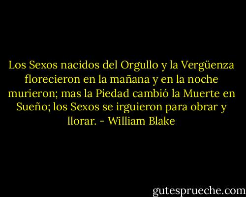 Los Sexos nacidos del Orgullo y la Vergüenza<br />florecieron en la mañana y en la noche murieron;<br />mas la Piedad cambió la Muerte en Sueño;<br />los Sexos se irguieron para obrar y llorar. - William Blake