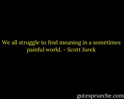 We all struggle to find meaning in a sometimes painful world. - Scott Jurek
