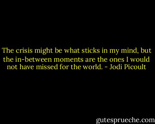 The crisis might be what sticks in my mind, but the in-between moments are the ones I would not have missed for the world. - Jodi Picoult