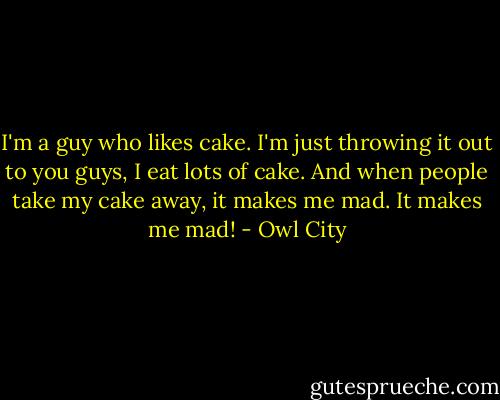 I'm a guy who likes cake. I'm just throwing it out to you guys, I eat lots of cake. And when people take my cake away, it makes me mad. It makes me mad! - Owl City