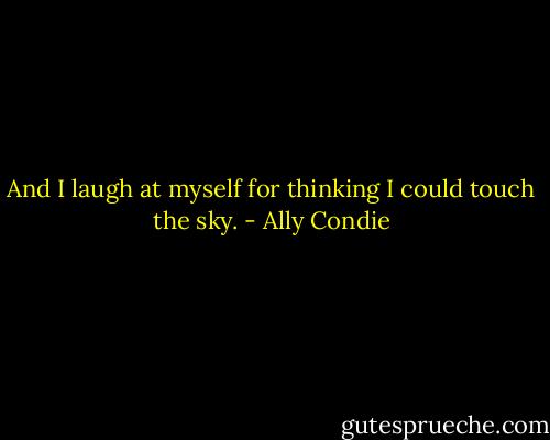And I laugh at myself for thinking I could touch the sky. - Ally Condie
