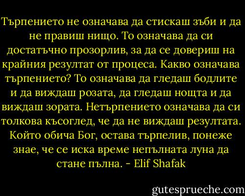 Търпението не означава да стискаш зъби и да не правиш нищо. То означава да си достатъчно прозорлив, за да се довериш на крайния резултат от процеса. Какво означава търпението? То означава да гледаш бодлите и да виждаш розата, да гледаш нощта и да виждаш зората. Нетърпението означава да си толкова късоглед, че да не виждаш резултата. Който обича Бог, остава търпелив, понеже знае, че се иска време непълната луна да стане пълна. - Elif Shafak