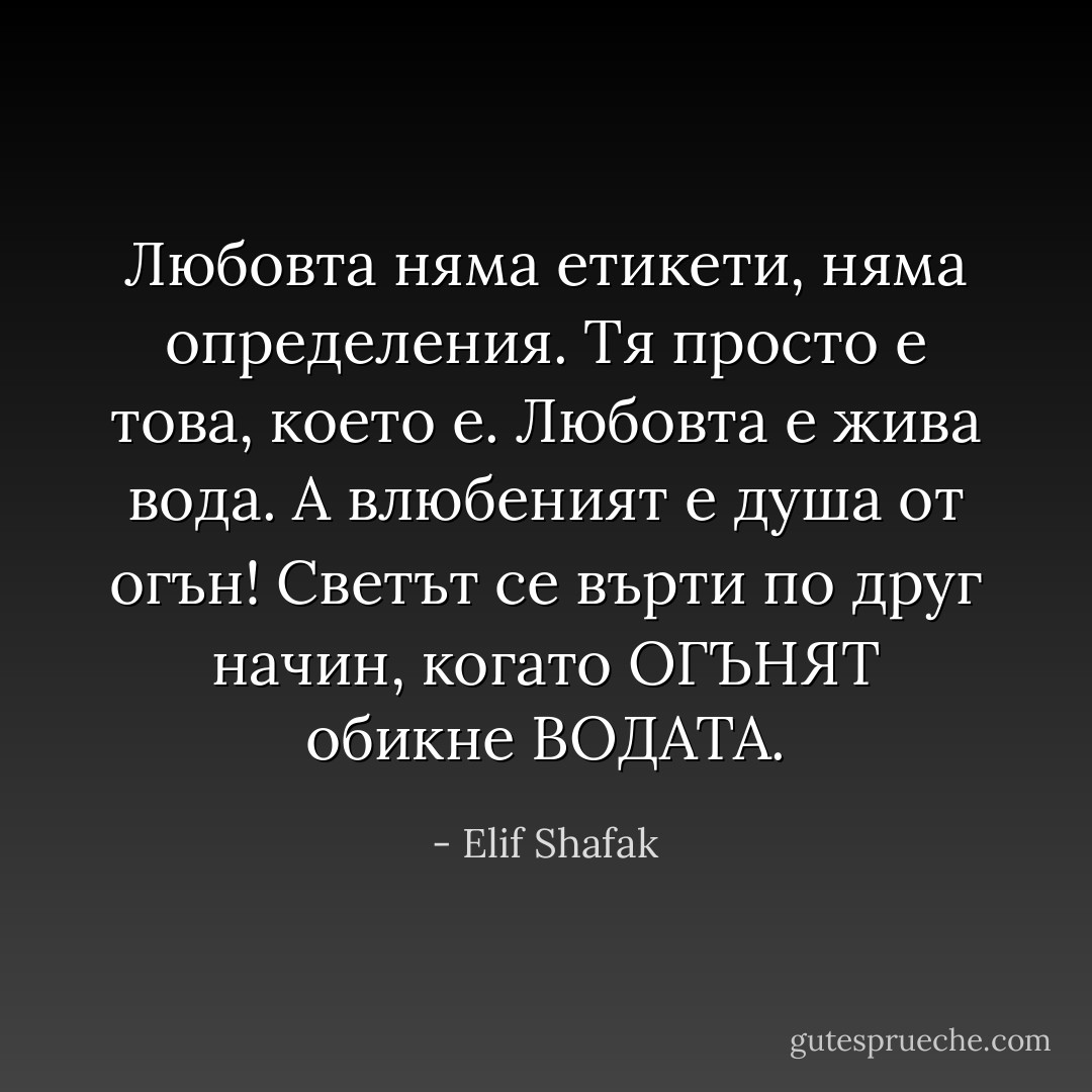 Любовта няма етикети, няма определения. Тя просто е това, което е. Любовта е жива вода. А влюбеният е душа от огън! Светът се върти по друг начин, когато ОГЪНЯТ обикне ВОДАТА. - Elif Shafak
