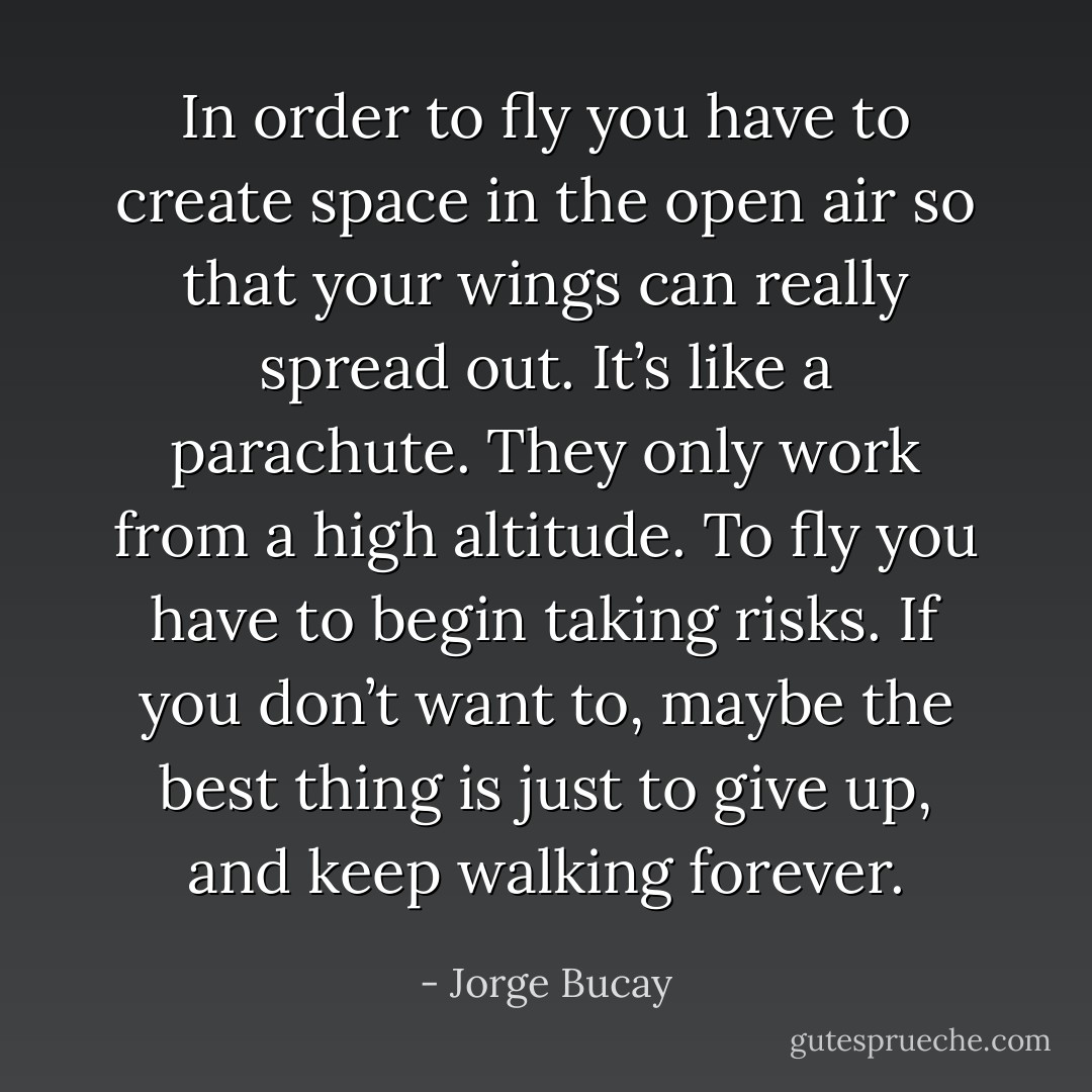 In order to fly you have to create space in the open air so that your wings can really spread out. It’s like a parachute. They only work from a high altitude. To fly you have to begin taking risks. If you don’t want to, maybe the best thing is just to give up, and keep walking forever. - Jorge Bucay
