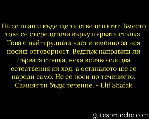 Не се плаши къде ще те отведе пътят. Вместо това се съсредоточи върху първата стъпка. Това е най-трудната част и именно за нея носиш отговорност. Веднъж направиш ли първата стъпка, нека всичко следва естествения си ход, а останалото ще се нареди само. Не се носи по течението. Самият ти бъди течение. - Elif Shafak