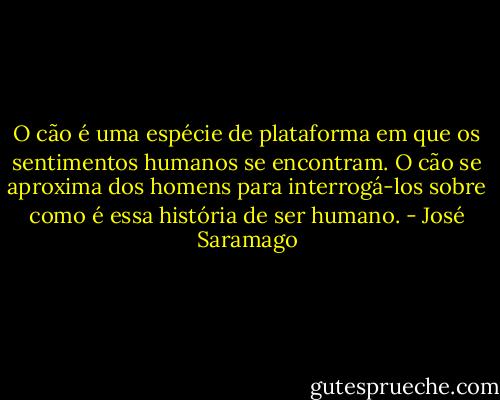 O cão é uma espécie de plataforma em que os sentimentos humanos se encontram. O cão se aproxima dos homens para interrogá-los sobre como é essa história de ser humano. - José Saramago