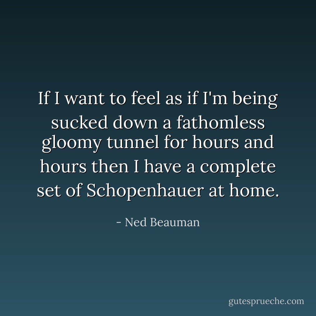 If I want to feel as if I'm being sucked down a fathomless gloomy tunnel for hours and hours then I have a complete set of Schopenhauer at home. - Ned Beauman