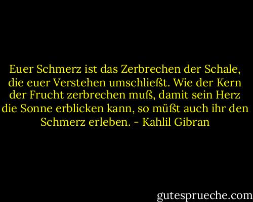 Euer Schmerz ist das Zerbrechen der Schale, die euer Verstehen umschließt.<br />Wie der Kern der Frucht zerbrechen muß, damit sein Herz die Sonne erblicken kann, so müßt auch ihr den Schmerz erleben. - Kahlil Gibran