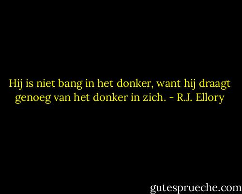 Hij is niet bang in het donker, want hij draagt genoeg van het donker in zich. - R.J. Ellory