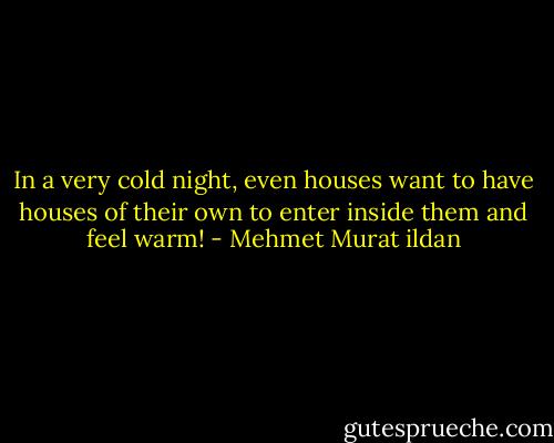 In a very cold night, even houses want to have houses of their own to enter inside them and feel warm! - Mehmet Murat ildan