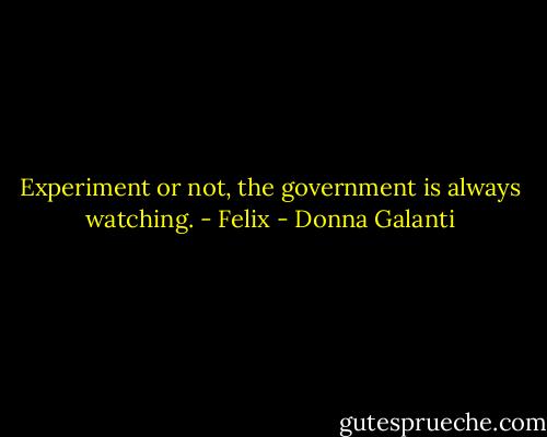 Experiment or not, the government is always watching. - Felix - Donna Galanti