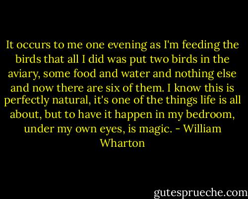 It occurs to me one evening as I'm feeding the birds that all I did was put two birds in the aviary, some food and water and nothing else and now there are six of them. I know this is perfectly natural, it's one of the things life is all about, but to have it happen in my bedroom, under my own eyes, is magic. - William Wharton