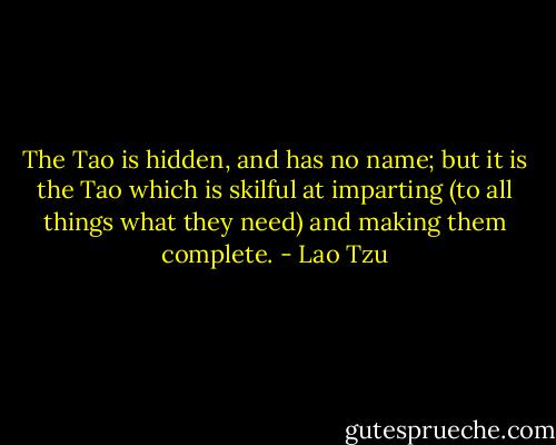 The Tao is hidden, and has no name; but it is the Tao which is skilful at imparting (to all things what they need) and making them complete. - Lao Tzu