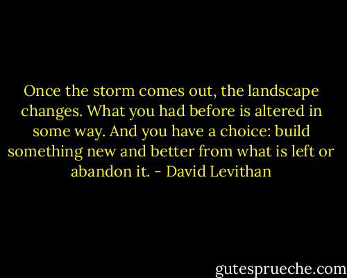 Once the storm comes out, the landscape changes. What you had before is altered in some way. And you have a choice: build something new and better from what is left or abandon it. - David Levithan