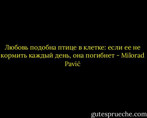 Любовь подобна птице в клетке: если ее не кормить каждый день, она погибнет - Milorad Pavić