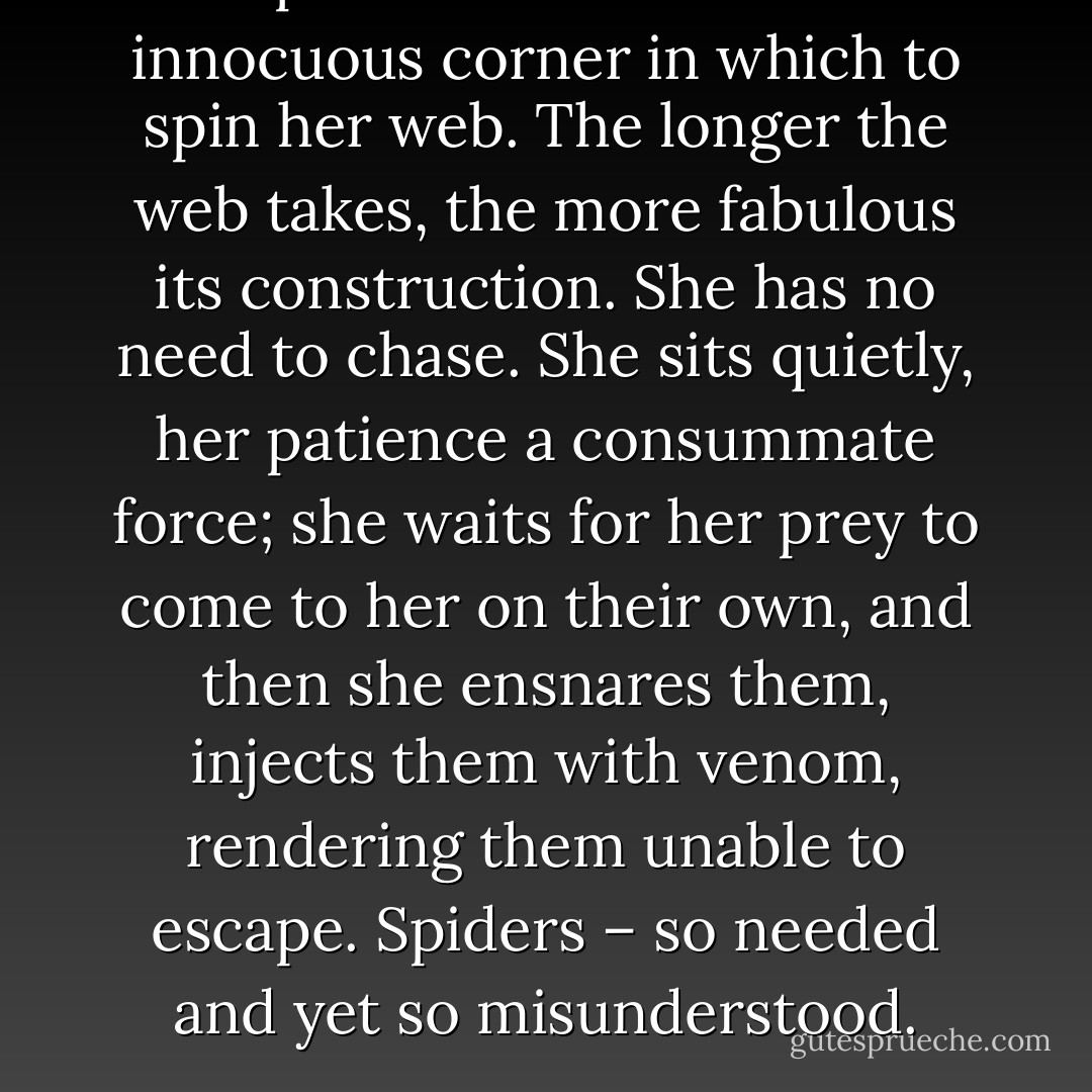 The spider's web: She finds an innocuous corner in which to spin her web. The longer the web takes, the more fabulous its construction. She has no need to chase. She sits quietly, her patience a consummate force; she waits for her prey to come to her on their own, and then she ensnares them, injects them with venom, rendering them unable to escape. Spiders – so needed and yet so misunderstood. - Donna Lynn Hope