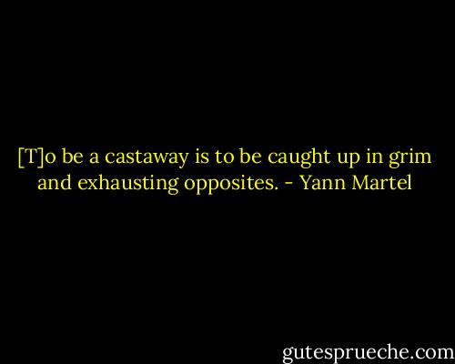 [T]o be a castaway is to be caught up in grim and exhausting opposites. - Yann Martel