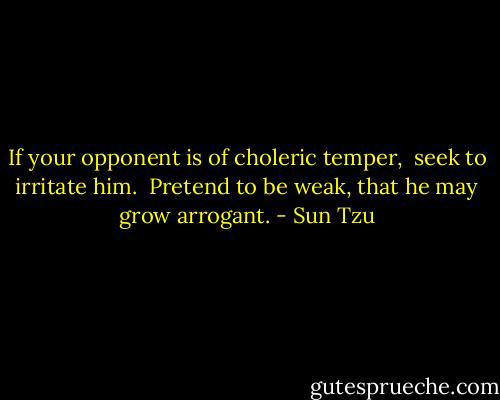 If your opponent is of choleric temper,  seek to irritate him.  Pretend to be weak, that he may grow arrogant. - Sun Tzu