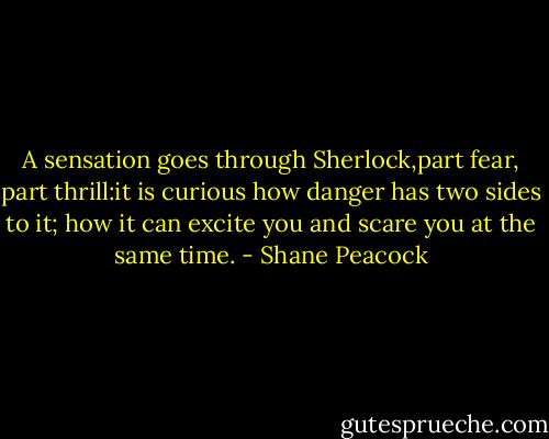 A sensation goes through Sherlock,part fear, part thrill:it is curious how danger has two sides to it; how it can excite you and scare you at the same time. - Shane Peacock