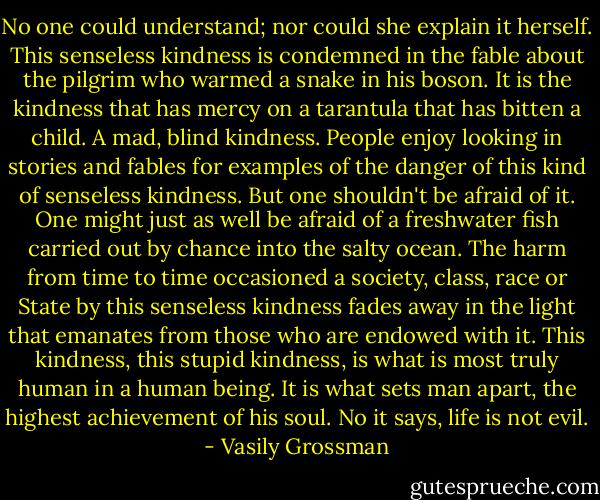 No one could understand; nor could she explain it herself. This senseless kindness is condemned in the fable about the pilgrim who warmed a snake in his boson. It is the kindness that has mercy on a tarantula that has bitten a child. A mad, blind kindness. People enjoy looking in stories and fables for examples of the danger of this kind of senseless kindness. But one shouldn't be afraid of it. One might just as well be afraid of a freshwater fish carried out by chance into the salty ocean. The harm from time to time occasioned a society, class, race or State by this senseless kindness fades away in the light that emanates from those who are endowed with it. This kindness, this stupid kindness, is what is most truly human in a human being. It is what sets man apart, the highest achievement of his soul. No it says, life is not evil. - Vasily Grossman