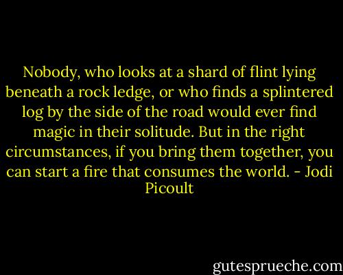 Nobody, who looks at a shard of flint lying beneath a rock ledge, or who finds a splintered log by the side of the road would ever find magic in their solitude. But in the right circumstances, if you bring them together, you can start a fire that consumes the world. - Jodi Picoult