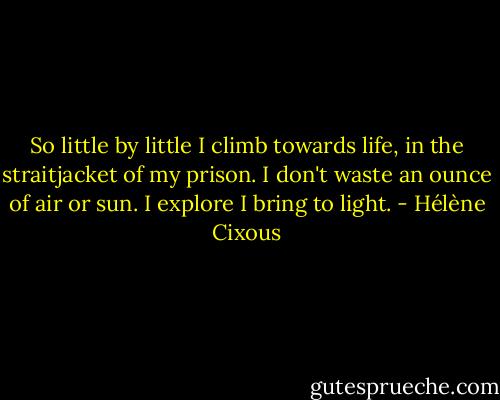 So little by little I climb towards life, in the straitjacket of my prison. I don't waste an ounce of air or sun. I explore I bring to light. - Hélène Cixous