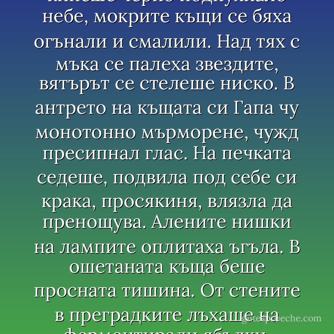 Навън, около камбанарията кипеше черно подпухнало небе, мокрите къщи се бяха огънали и смалили. Над тях с мъка се палеха звездите, вятърът се стелеше ниско.<br />В антрето на къщата си Гапа чу монотонно мърморене, чужд пресипнал глас. На печката седеше, подвила под себе си крака, просякиня, влязла да пренощува. Алените нишки на лампите оплитаха ъгъла. В ошетаната къща беше просната тишина. От стените в преградките лъхаше на ферментирали ябълки. - Isaac Babel