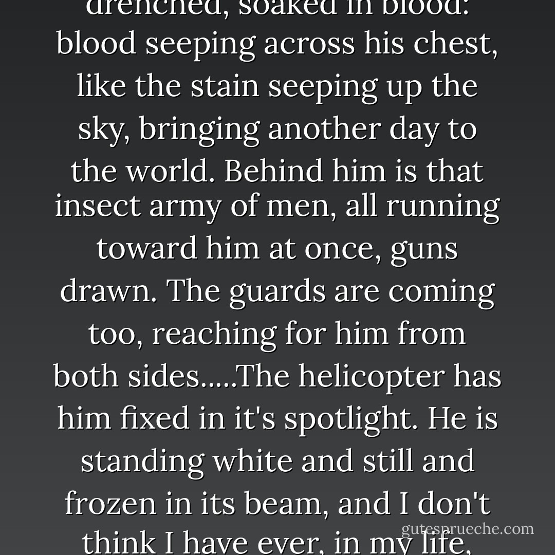 Alex's T-shirt is red, and for a second I think it's a trick of the light, but then I realise he's drenched, soaked in blood: blood seeping across his chest, like the stain seeping up the sky, bringing another day to the world. Behind him is that insect army of men, all running toward him at once, guns drawn. The guards are coming too, reaching for him from both sides.....The helicopter has him fixed in it's spotlight. He is standing white and still and frozen in its beam, and I don't think I have ever, in my life, seen anything more beautiful than him. - Lauren Oliver