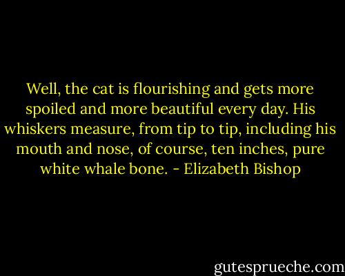 Well, the cat is flourishing and gets more spoiled and more beautiful every day. His whiskers measure, from tip to tip, including his mouth and nose, of course, ten inches, pure white whale bone. - Elizabeth Bishop