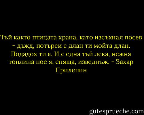 Тъй както птицата храна,<br />като изсъхнал посев - дъжд,<br />потърси с длан ти мойта длан.<br />Подадох ти я. И с една<br />тъй лека, нежна топлина<br />пое я, спяща, изведнъж. - Захар Прилепин