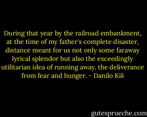 During that year by the railroad embankment, at the time of my father's complete disaster, distance meant for us not only some faraway lyrical splendor but also the exceedingly utilitarian idea of running away, the deliverance from fear and hunger. - Danilo Kiš