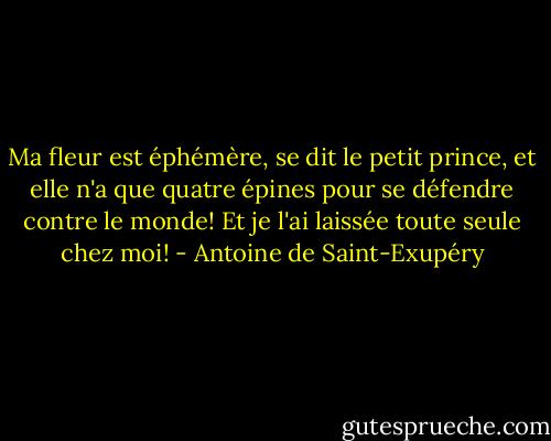 Ma fleur est éphémère, se dit le petit prince, et elle n'a que quatre épines pour se défendre contre le monde! Et je l'ai laissée toute seule chez moi! - Antoine de Saint-Exupéry