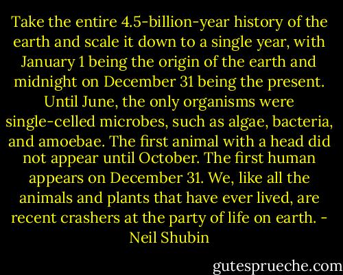 Take the entire 4.5-billion-year history of the earth and scale it down to a single year, with January 1 being the origin of the earth and midnight on December 31 being the present. Until June, the only organisms were single-celled microbes, such as algae, bacteria, and amoebae. The first animal with a head did not appear until October. The first human appears on December 31. We, like all the animals and plants that have ever lived, are recent crashers at the party of life on earth. - Neil Shubin