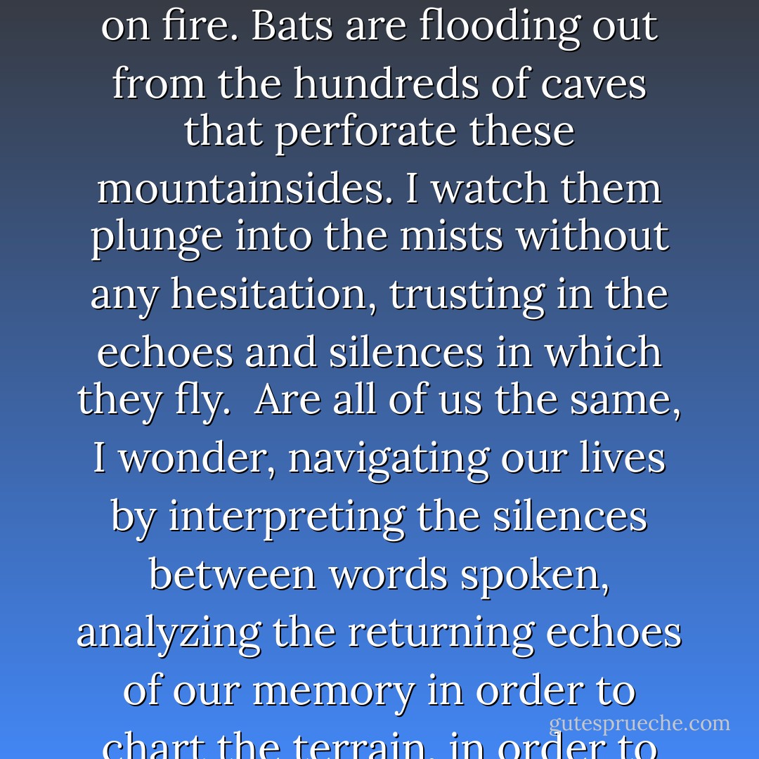 It is getting dark. In the low mists over the hills, an orange glow broods, as if the trees are on fire. Bats are flooding out from the hundreds of caves that perforate these mountainsides. I watch them plunge into the mists without any hesitation, trusting in the echoes and silences in which they fly.<br /><br />Are all of us the same, I wonder, navigating our lives by interpreting the silences between words spoken, analyzing the returning echoes of our memory in order to chart the terrain, in order to make sense of the world around us? - Tan Twan Eng