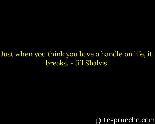 Just when you think you have a handle on life, it breaks. - Jill Shalvis
