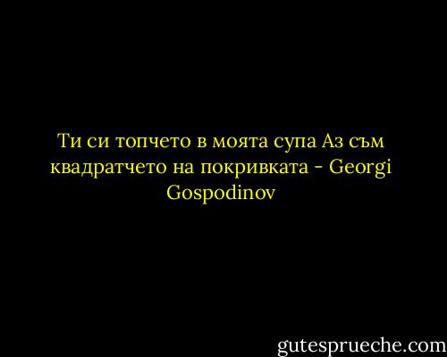 Ти си топчето в моята супа<br />Аз съм квадратчето на покривката - Georgi Gospodinov