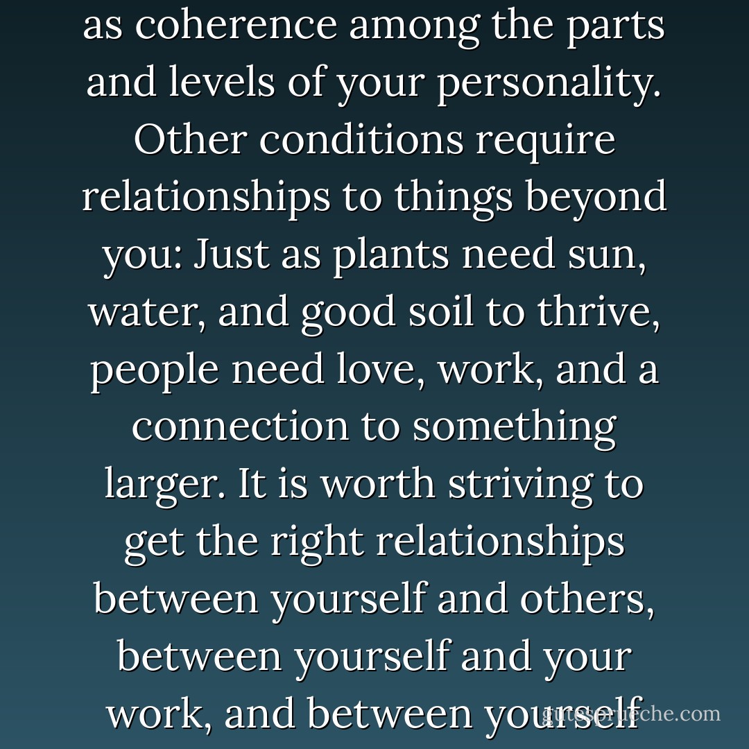Happiness is not something that you can find, acquire, or achieve directly. You have to get the conditions right and then wait. Some of those conditions are within you, such as coherence among the parts and levels of your personality. Other conditions require relationships to things beyond you: Just as plants need sun, water, and good soil to thrive, people need love, work, and a connection to something larger. It is worth striving to get the right relationships between yourself and others, between yourself and your work, and between yourself and something larger than yourself. If you get these relationships right, a sense of purpose and meaning will emerge. - Jonathan Haidt