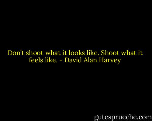 Don’t shoot what it looks like. Shoot what it feels like. - David Alan Harvey