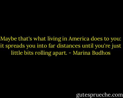 Maybe that's what living in America does to you: it spreads you into far distances until you're just little bits rolling apart. - Marina Budhos