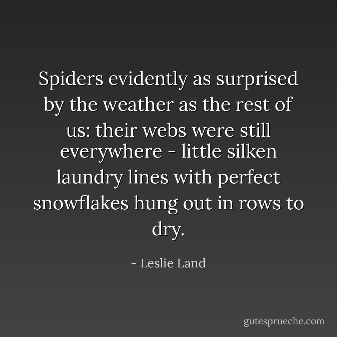 Spiders evidently as surprised by the weather as the rest of us: their webs were still everywhere - little silken laundry lines with perfect snowflakes hung out in rows to dry. - Leslie Land
