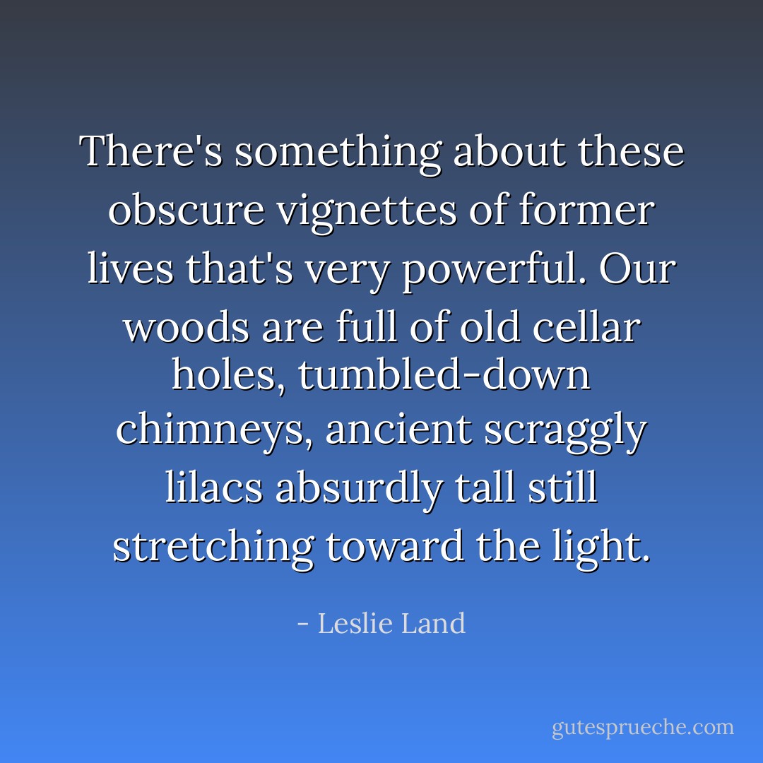 There's something about these obscure vignettes of former lives that's very powerful. Our woods are full of old cellar holes, tumbled-down chimneys, ancient scraggly lilacs absurdly tall still stretching toward the light. - Leslie Land