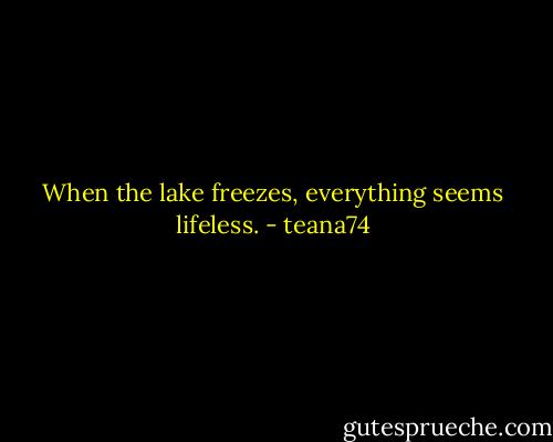 When the lake freezes, everything seems lifeless. - teana74