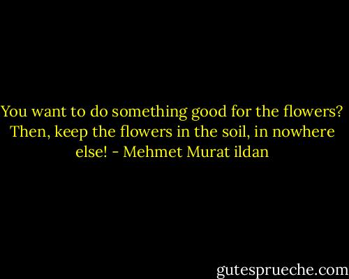 You want to do something good for the flowers? Then, keep the flowers in the soil, in nowhere else! - Mehmet Murat ildan