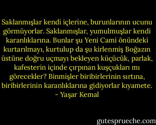 Saklanmışlar kendi içlerine, burunlarının ucunu görmüyorlar. Saklanmışlar, yumulmuşlar kendi karanlıklarına. Bunlar şu Yeni Cami önündeki kurtarılmayı, kurtulup da şu kirlenmiş Boğazın üstüne doğru uçmayı bekleyen küçücük, parlak, kafesterin içinde çırpınan kuşçukları mı görecekler? Binmişler biribirlerinin sırtına, biribirlerinin karanlıklarına gidiyorlar kıyamete. - Yaşar Kemal